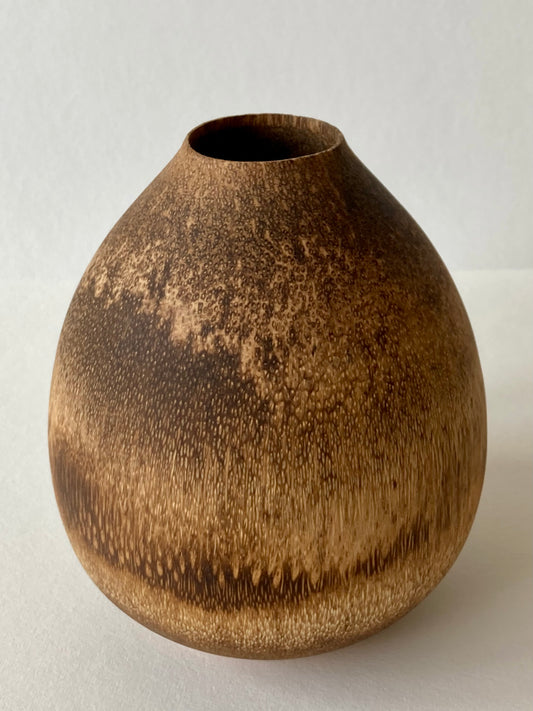 Small palm vessel 2