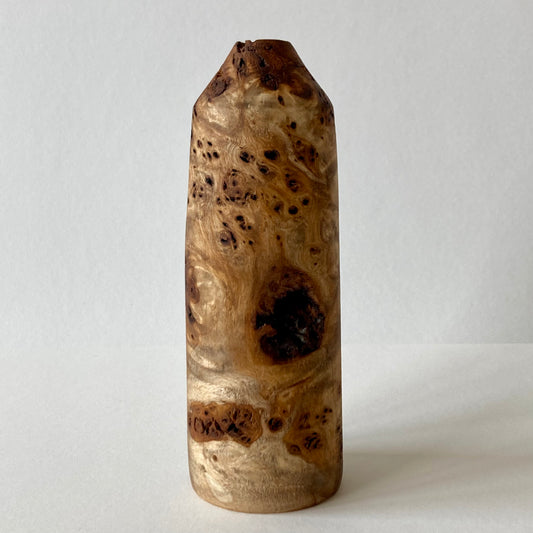 Small poplar vessel