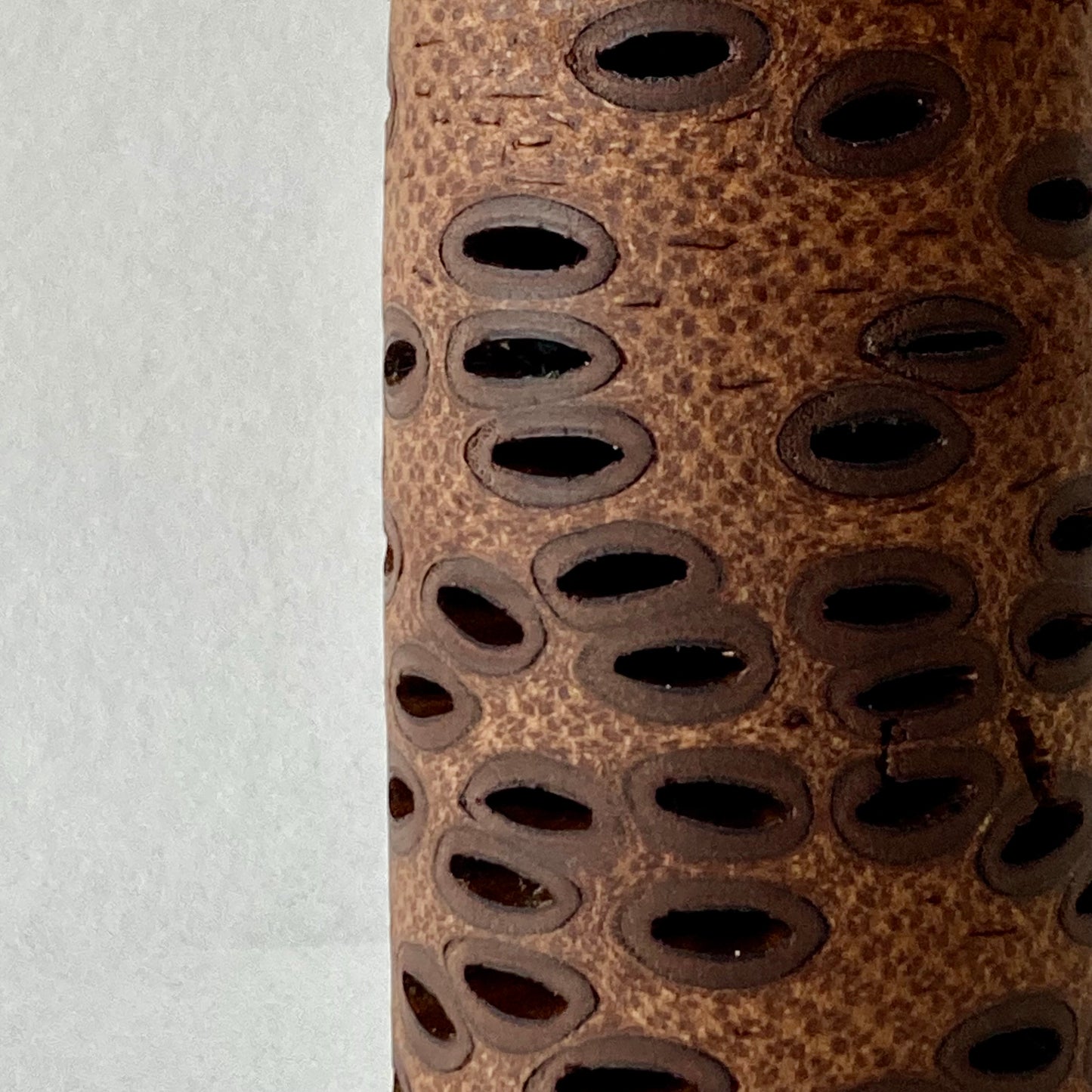 Small banskia vessel 1